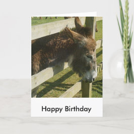 Greetings-kort för Donkey Birthday Kort