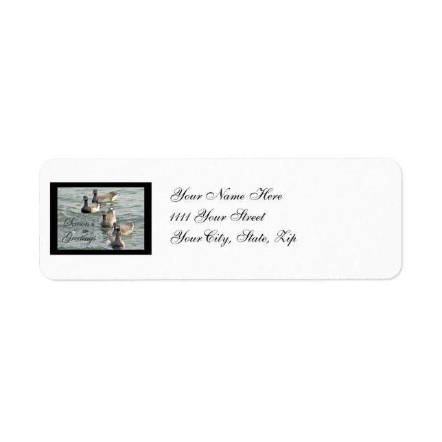 Greetings Series of Atlantic Brant Geese Returadress Etikett (Framsidan)