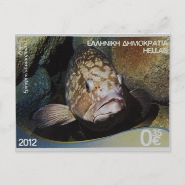 Grekisk frimärke Dusky Grouper Vykort (Framsida)