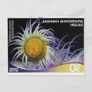 Grekisk frimärke Snakelocks anemone Vykort
