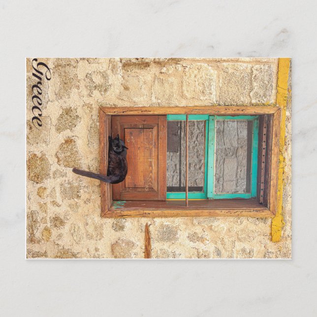 Grekisk katt vykort (Framsida)