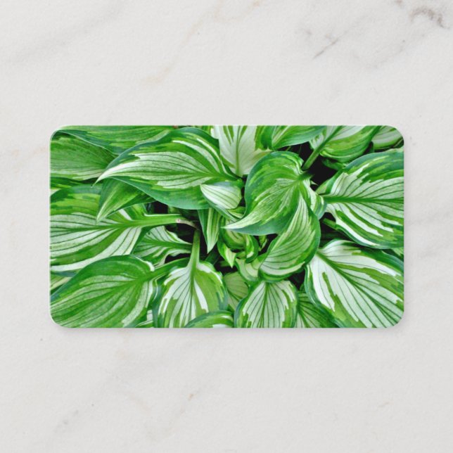 Grekiska Affärskort Visitkort (Framsida)