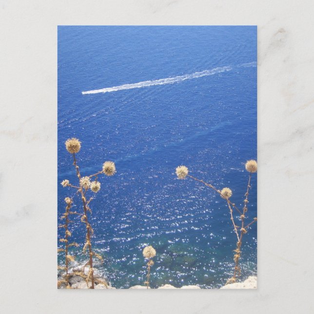 Grekiska blåhavet  vykort (Framsida)
