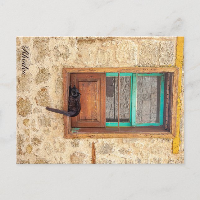 Grekiska Kattdjuret Vykort (Framsida)