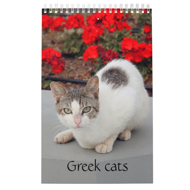 Grekiska katter - bilder av små sällskap kalender (Omslag)