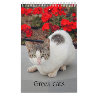 Grekiska katter - bilder av små sällskap kalender