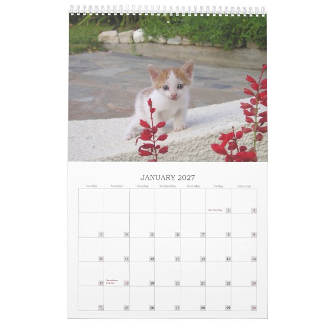 Grekiska katter kalender (Jan 2027)