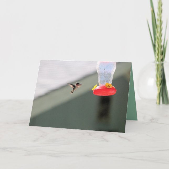 Grekiska lilla kamrater kort (Framsida)