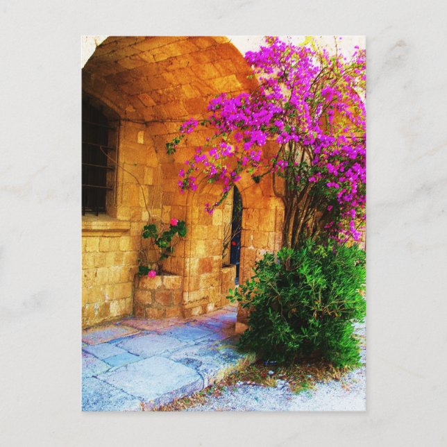 Grekiska stenhus - gammal trädörr Bougainvillea Vykort (Framsida)