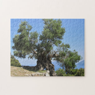 Grekiskt olivgrönt träd (Kefalonia) Pussel
