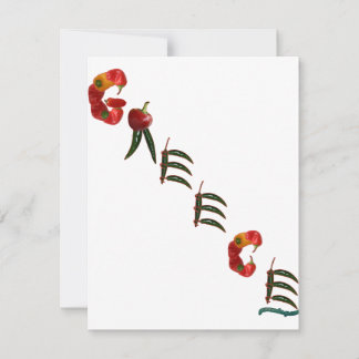 Grekland Chili Peppers