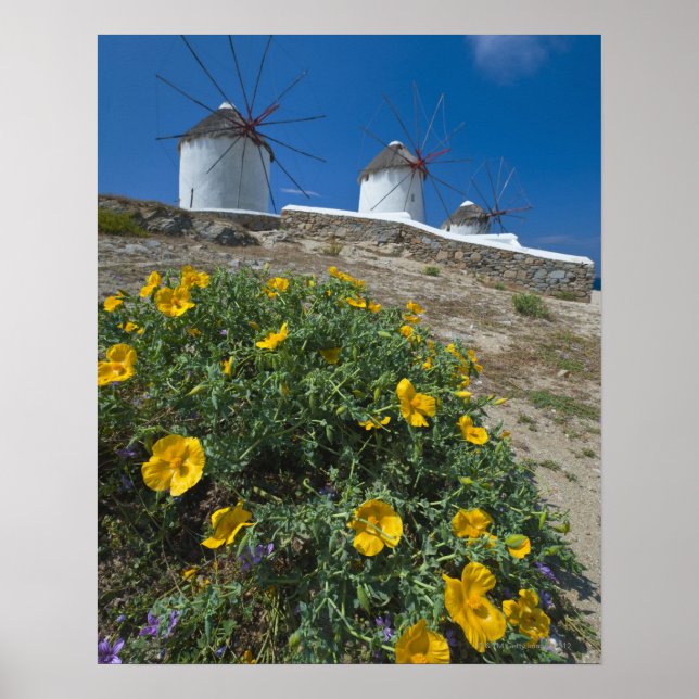 Grekland, Cyklaöarna, Mykonos, Flowers nära Poster (Framsidan)