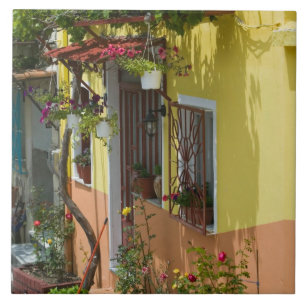 GREKLAND, Nordöstra Egeiska öarna, LESVOS Kakelplatta