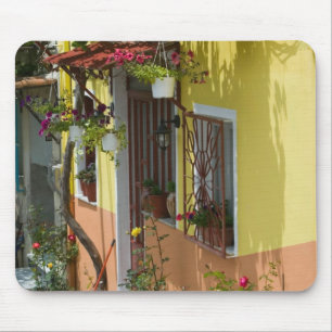 GREKLAND, Nordöstra Egeiska öarna, LESVOS Musmatta