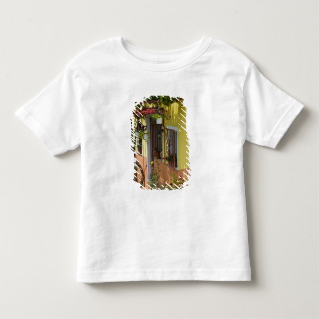 GREKLAND, Nordöstra Egeiska öarna, LESVOS T-shirt (Framsida)