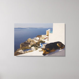 Grekland Santorini ö, Oia stad, sova för hund Canvastryck