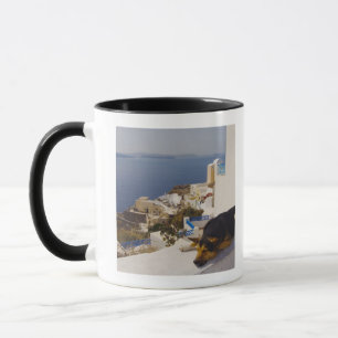 Grekland Santorini ö, Oia stad, sova för hund Mugg