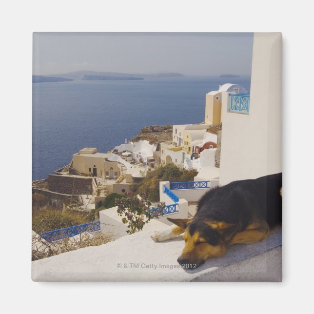 Grekland, Santorini-ön, Oia City, hund sov Magnet (Framsidan)