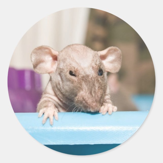 gremlin runt klistermärke (Framsida)