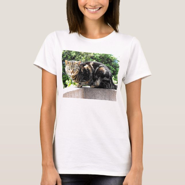 Gremlin tabby katt tee (Framsida)