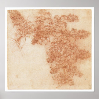 Gren i Blackberry, Leonardo Da Vinci Poster