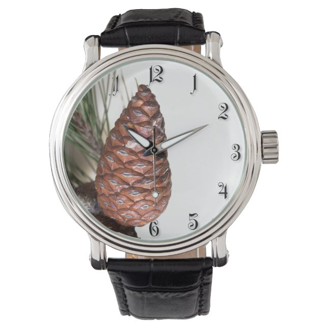 Gren i gräs med pinekonerna armbandsur (Framsida)