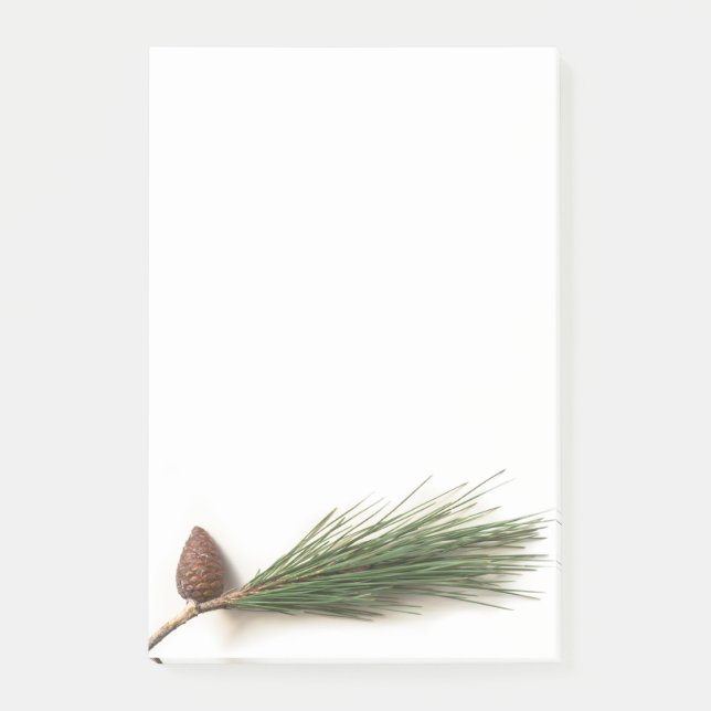 Gren i gräs med pinekonerna post-it block (Framsida)