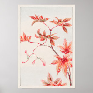 Gren i Momiji Maple Träd av Megata Morikaga Poster