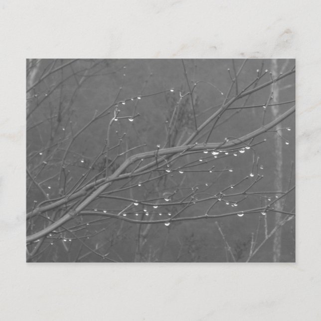 Gren i Spanien Vykort (Framsida)