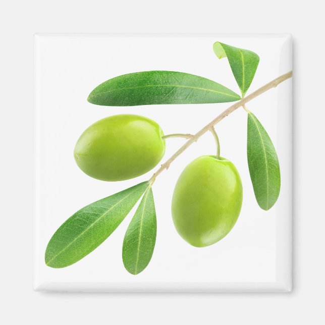 Gren med grönt oliver magnet (Framsidan)