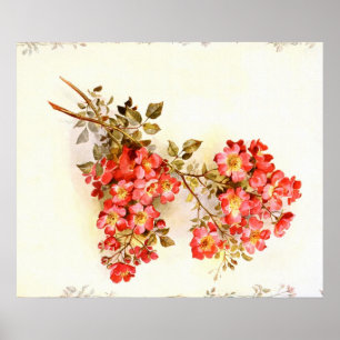 Gren med ro blommor anpassningsbar poster