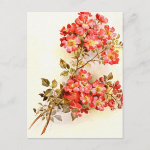 Gren med steg beställnings- blommor vykort