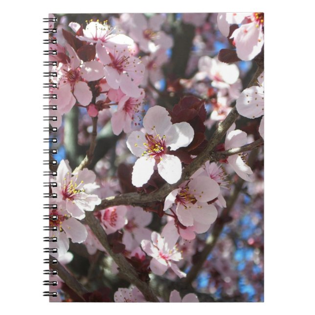 Gren vid Rosa Blommar Vår Blommigten Anteckningsbok (Framsidan)