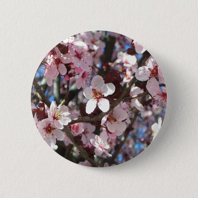 Gren vid Rosa Blommar Vår Blommigten Knapp (Framsida)