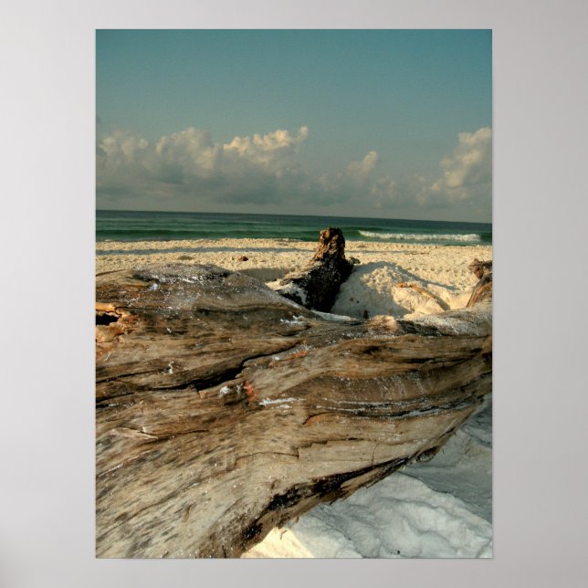 Gren vid stranden poster (Framsidan)