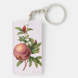 Grenade (granatäpplen) av Pierre Redout