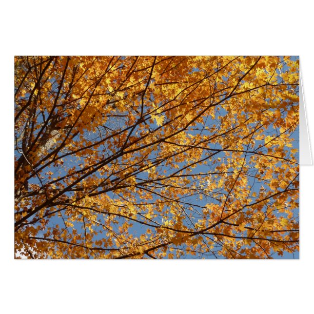 Grenar av lönnlöv II Orange höst Hälsningskort (Framsidan Horizontal)