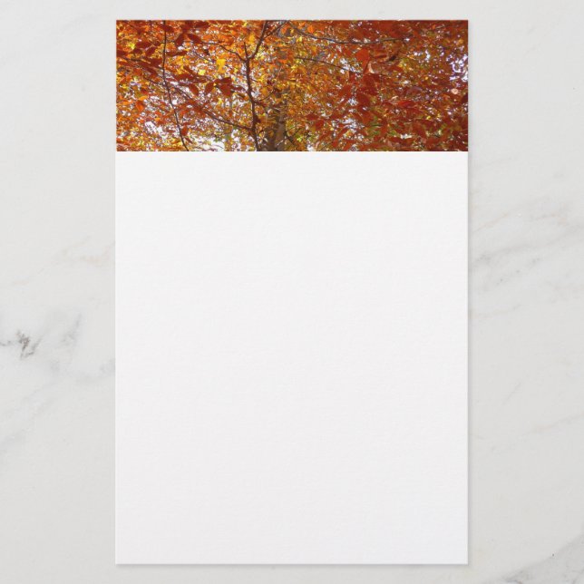 Grenar av orange blad Höst Natur Brevpapper (Framsida)