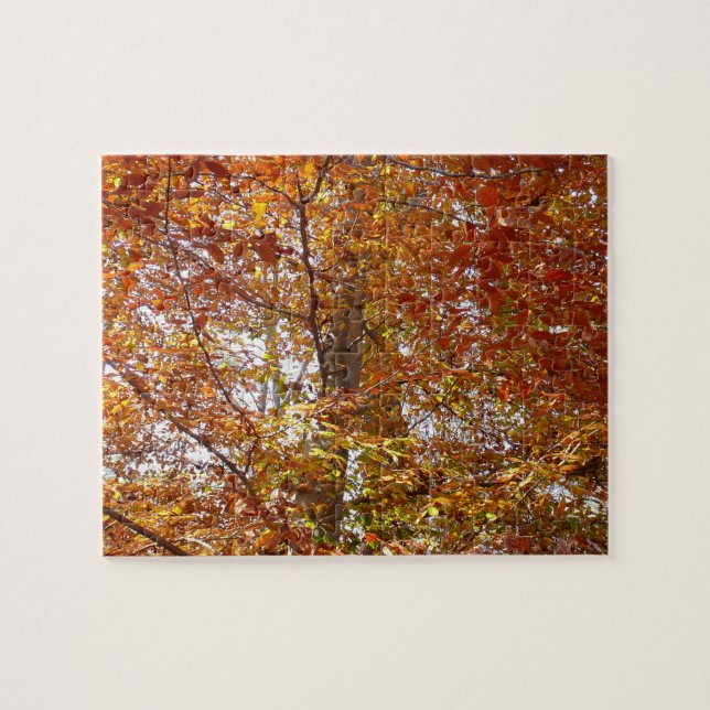 Grenar av orange blad Höst Natur Pussel (Horisontell)