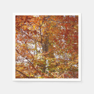 Grenar av Orange Lövs höstkaraktär Pappersservett