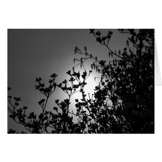 Grenar Hälsningskort (Framsidan Horizontal)