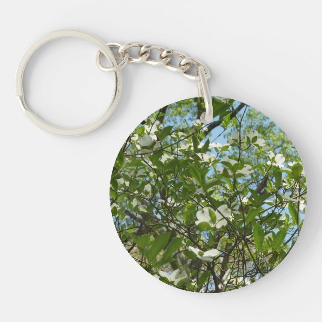 Grenar i Dogwood Blommar Vår Träd (Framsidan)