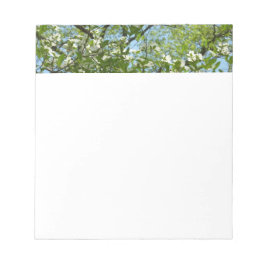 Grenar i Dogwood Blommar Vår Träd Anteckningsblock