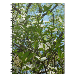 Grenar i Dogwood Blommar Vår Träd Anteckningsbok Med Spiral