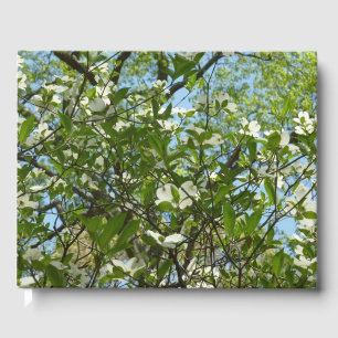 Grenar i Dogwood Blommar Vår Träd Gästböcker