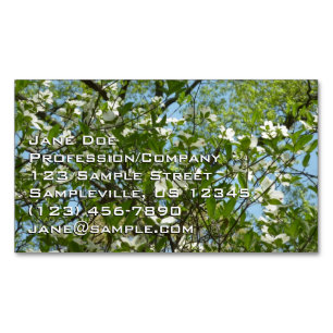 Grenar i Dogwood Blommar Vår Träd Magnetiska Visitkort