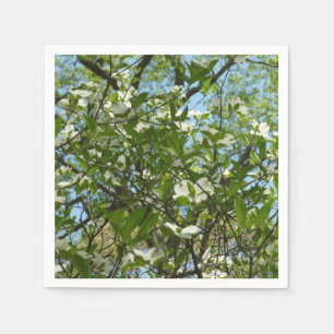 Grenar i Dogwood Blommar Vår Träd Pappersservett