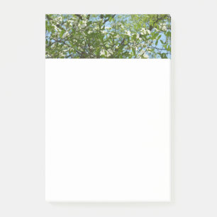 Grenar i Dogwood Blommar Vår Träd Post-it Block