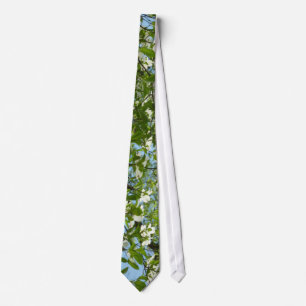 Grenar i Dogwood Blommar Vår Träd Slips