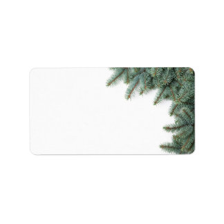 Grenar i Silver Spruce i vit bakgrund Adressetikett